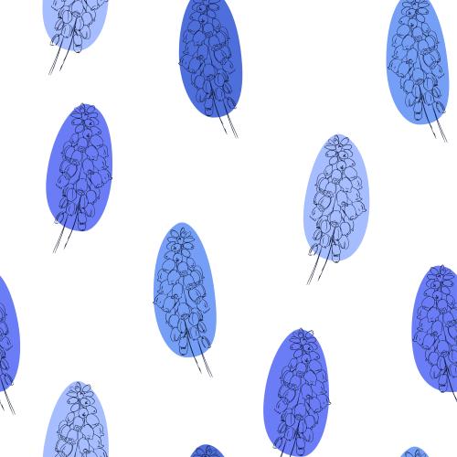 Muscari. Vector muscari flowers colorful spots on white