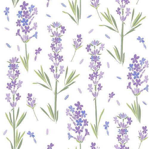 Lavender. Vector lavender colorful silhouettes on white