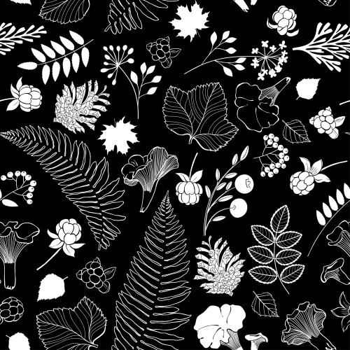 Cone. Vector ferns leaves, flowers, cones, chanterelle mushrooms, cloudberry, blueberry, rowan berries on black