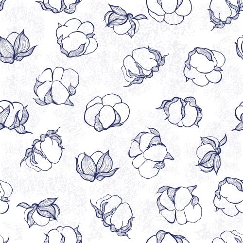 Cotton. Vector cotton boxes, contour design on white with texture
