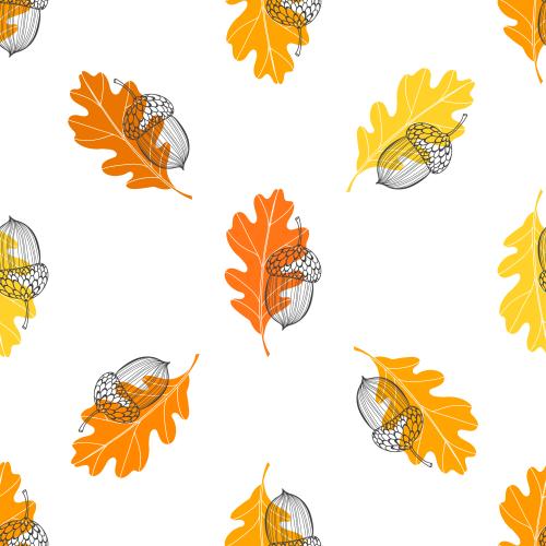 Oak leaf. Vector oak leaves and acorns