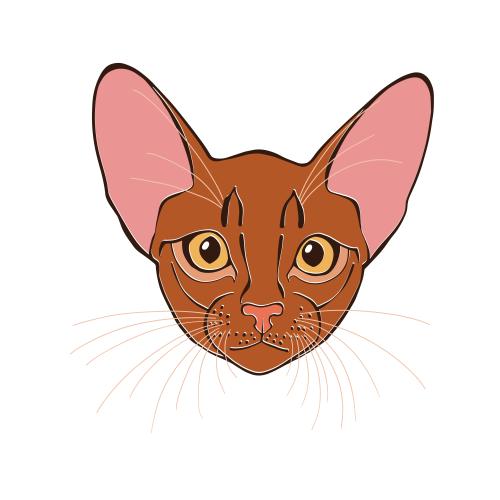 Vector for tableware Printing abyssinian cat, colorful cute face on white