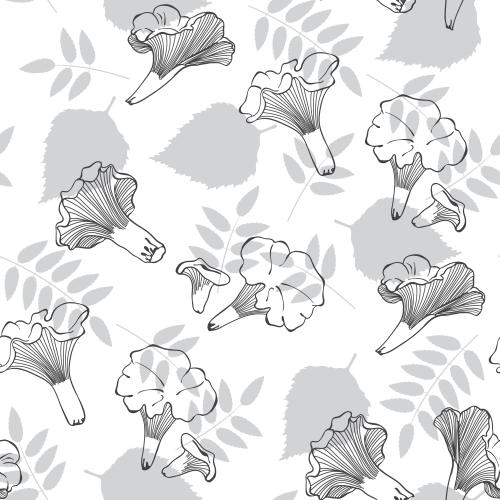Chanterelles. Vector boletus mushrooms and leaves on white