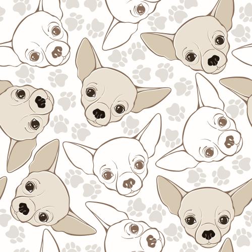 Dog. Vector cute chihuahua muzzles, paw prints on light