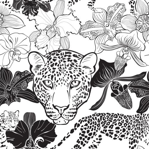 Orchid. Vector leopards and orchids on white