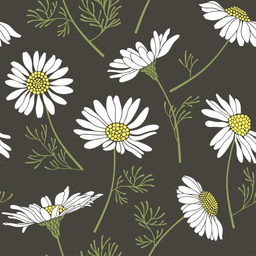 Vector image daisies on dark green
