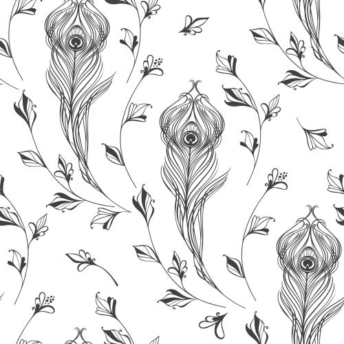 Feather. Vector fantasy plants, peacock feathers on white