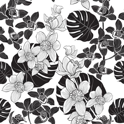 Illustration orchids and monstera leaves on white