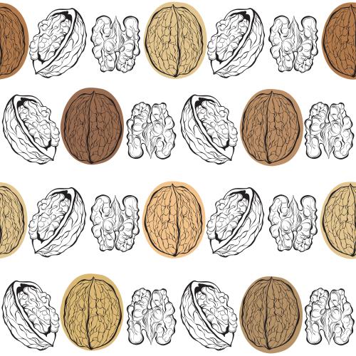 Nut. Vector walnuts, colorful decorative spots on white