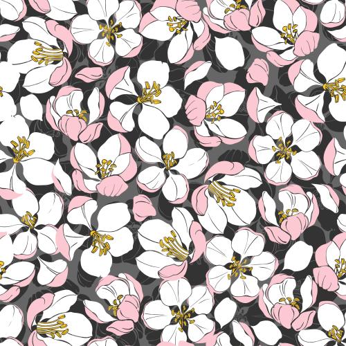 Apple tree. Vector apple tree flowers on white