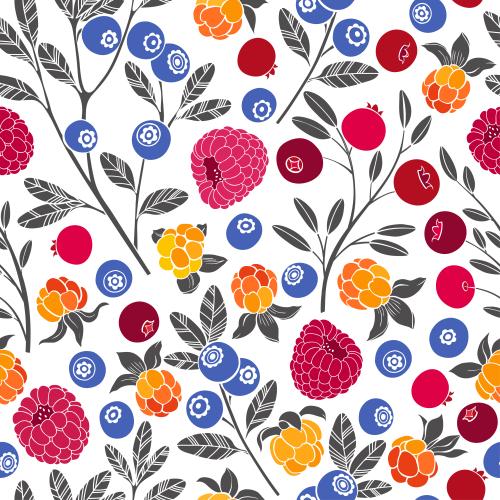 Female. Vector raspberry, cloudberry, cranberry and blueberry on white