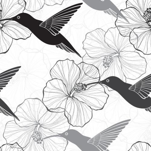 Bird. Vector monochrome hummingbird silhouettes contour drawings of hibiscus flowers on white