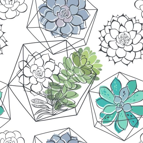 Succulent. Vector succulents in a florarium and without on white