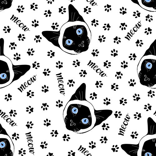 Siamese cat. Vector cute siamese cat faces, paw prints and "meow" inscriptions on white