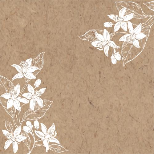 Neroli. Vector neroli flowers text area on craft angular composition