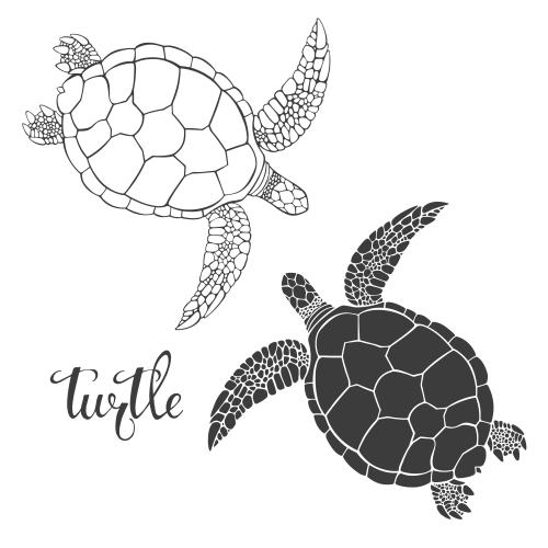Turtle. Vector turtles, contour and silhouette on white