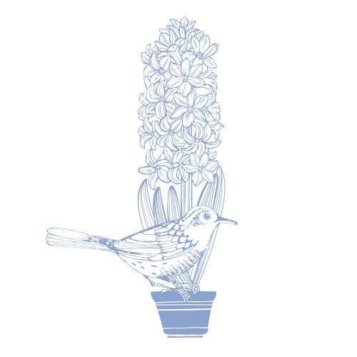 Hyacinth. Vector hyacinth in a pot and a bird on white
