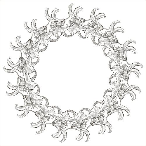 Lily. Vector round frame of lilies on white