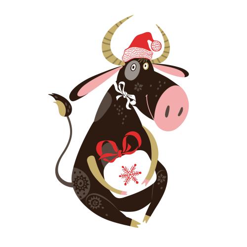 Cow. Vector new year's calf with a gift