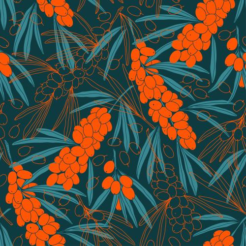 Sea buckthorn. Vector sea buckthorn, branches with berries, colorful contours and silhouettes on blue