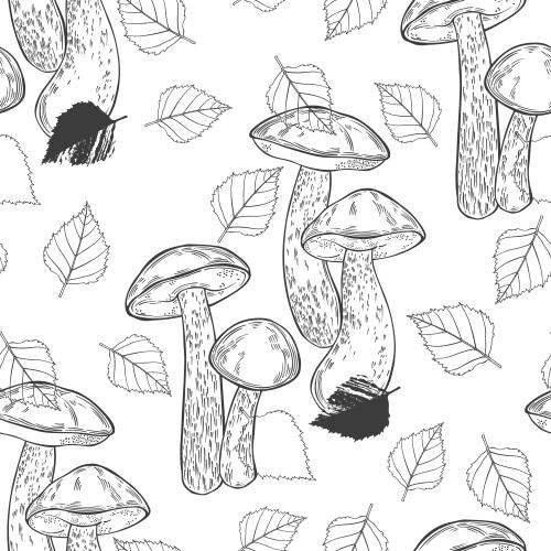 Vector image boletus mushrooms and birch leaves on white