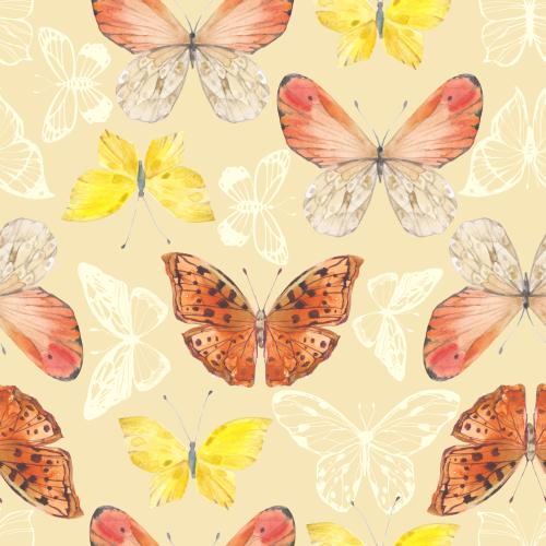 Raster image watercolor butterflies outlines on light