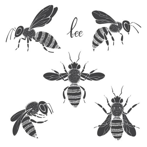 Bee. Vector bees, five silhouettes on white