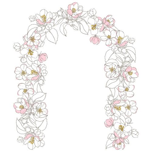 Apple tree. Vector apple tree flowers, flower arch on white