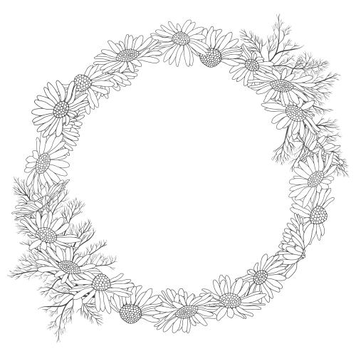 Vector image daisies round frame on white
