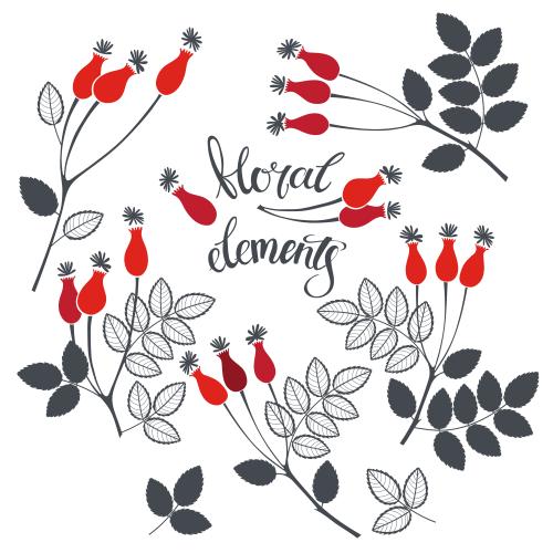Berry. Vector rosehip monochrome twigs with red berries various white options