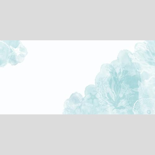 Illustration sea stars corals algae watercolor fragments space for text on white