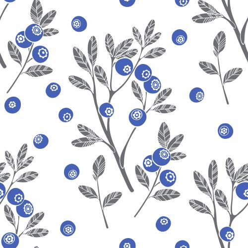 Vector image stylized blueberry branches, leaves and berries on white