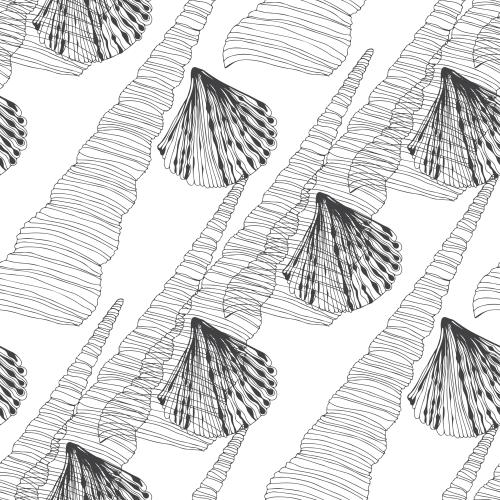 Vector image shells black outlines on white