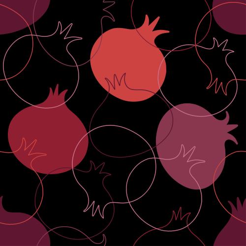 Pomegranate. Vector stylized pomegranates colored contours and silhouettes on black