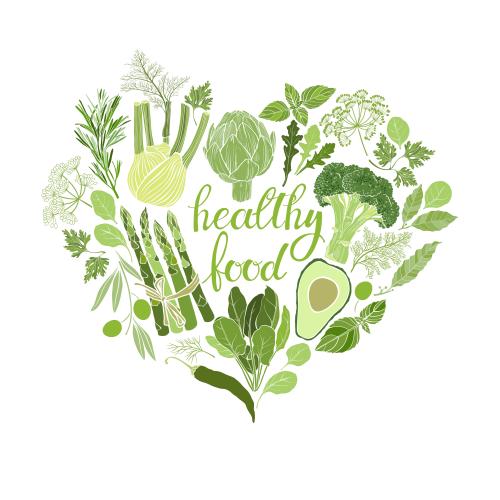 Basil. Vector vegetables culinary herbs healthy food heart-shaped composition on white