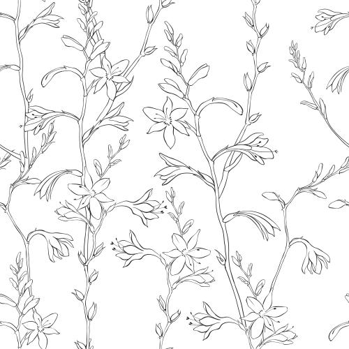 Montbretia. Vector montbretia flowers on white