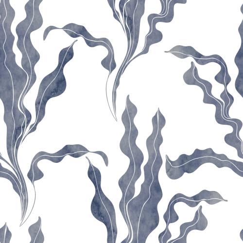 Raster image watercolor marine algae on white