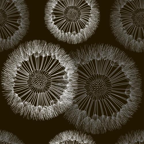 Dandelion. Vector fluffy dandelions on black