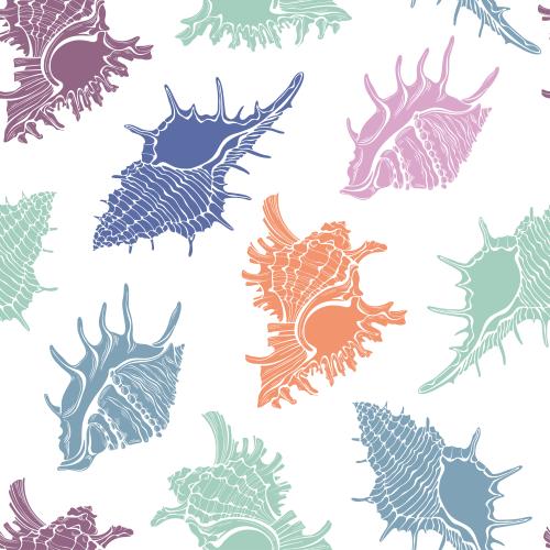 Illustration multicolored shell silhouettes on white