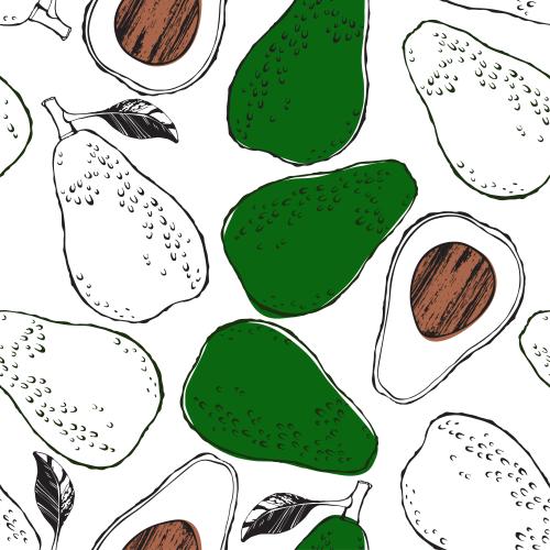 Avocado. Vector colorful and monochrome avocados whole and halves on white