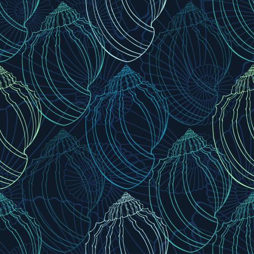 Illustration colored contours of shells and nautiluses on dark blue