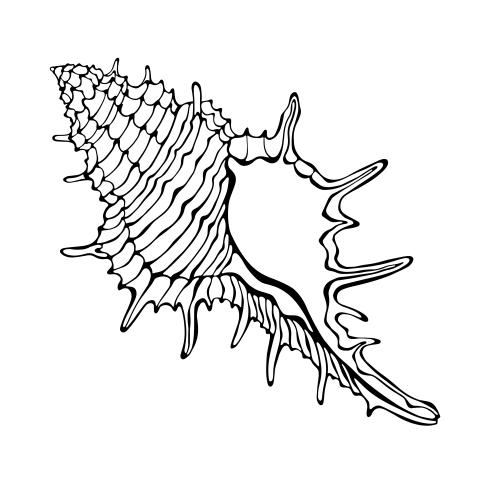 Illustration black contour on white