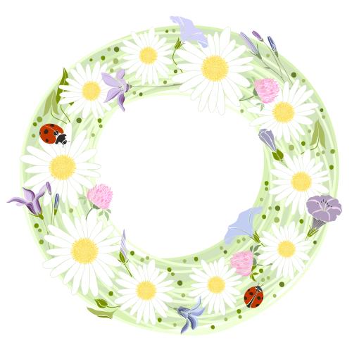 Bindweed. Vector round frame of wildflowers with ladybugs on white