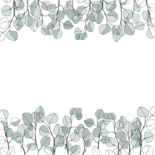 Eucalyptus. Vector colorful eucalyptus branches, space for text on white