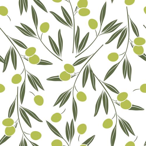 Olivaceous. Vector olive branches with leaves and fruits, green silhouettes on white