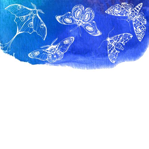 Illustration night butterflies on blue watercolor, space for text on white