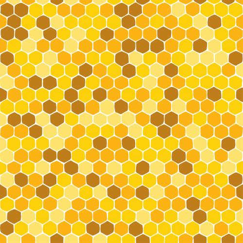 Honeycombs. Vector honeycombs