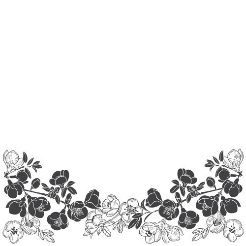 Illustration japanese quince, branches with flowers, black silhouettes, outlines and space for text on white