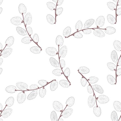 Willow. Vector willow branches on white