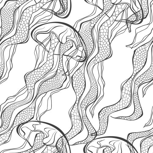 Jellyfish. Vector jellyfish black outlines on white